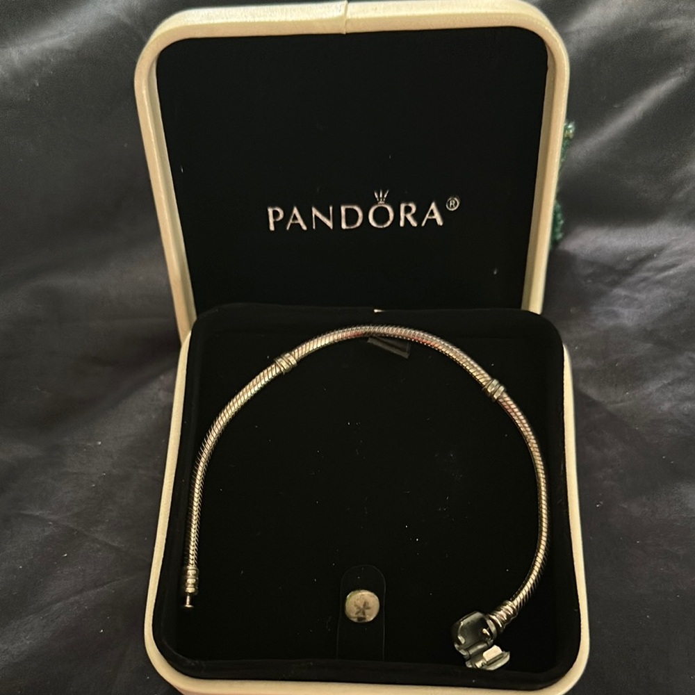 Pandora Silver Classic Bangle Bracelet